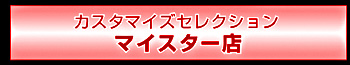 �J�X�^�}�C�Y�Z���N�V���� �}�C�X�^�[�X