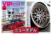 VIPSTYLE1703-1