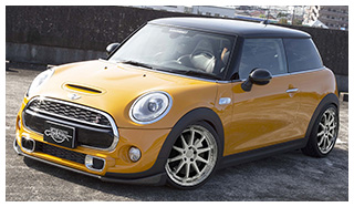 CHEVLON GT 10F BMW MINI COOPER S（F56）