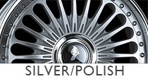 silverpolish