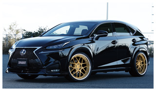 Zenith Gemut LEXUS NX