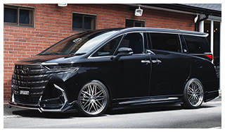 Bügel TOYOTA ALPHARD（40）
