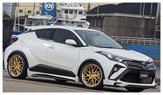 Geist TOYOTA C-HR