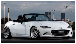 PROGRESS LINE Reise MAZDA ROADSTER