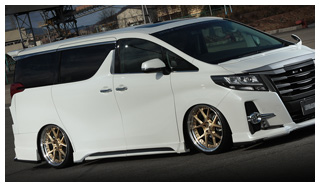 Stein TOYOTA 30 ALPHARD