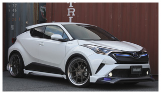 Stein TOYOTA C-HR