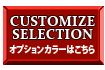 CUSTOMIZE SELECTION